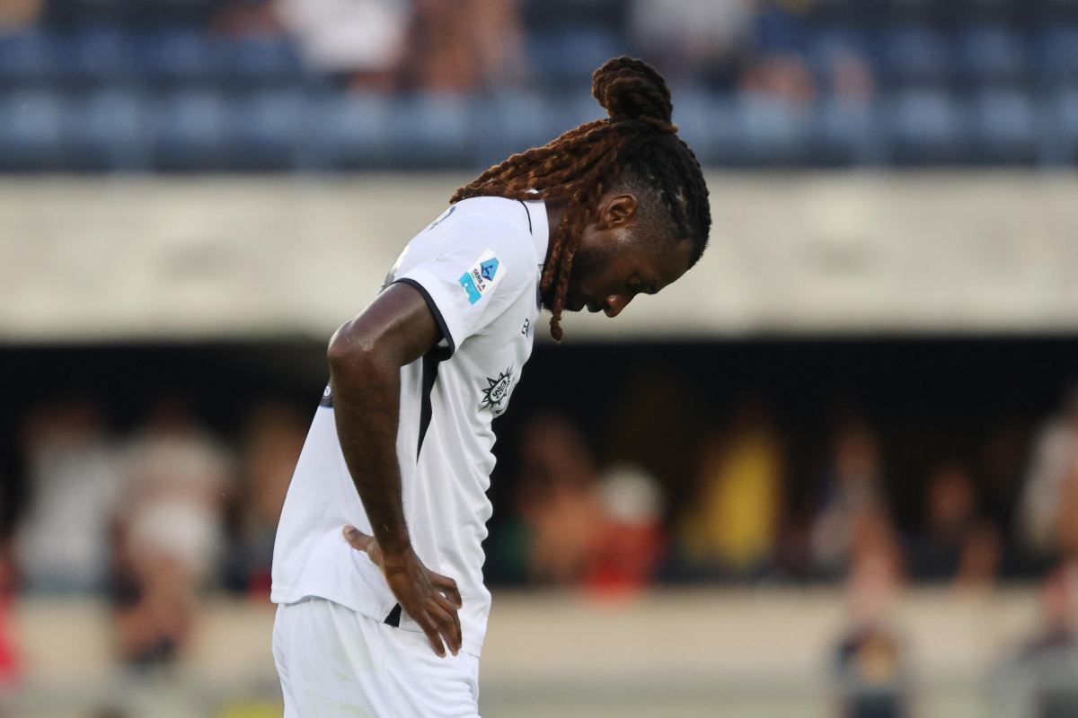 Anguissa deluso in campo